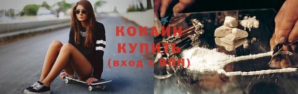 дживик Костерёво