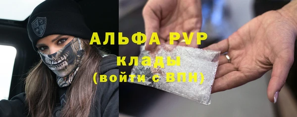 дживик Костерёво