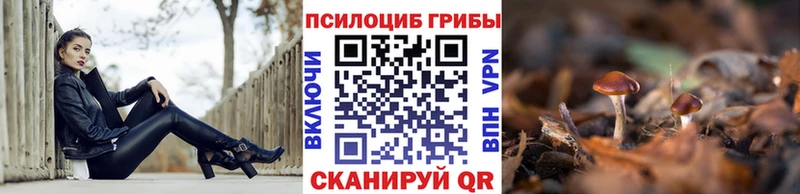 Псилоцибиновые грибы Psilocybine cubensis  Купить  Игра 